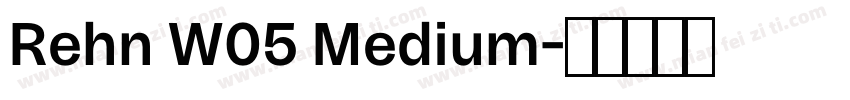 Rehn W05 Medium字体转换
